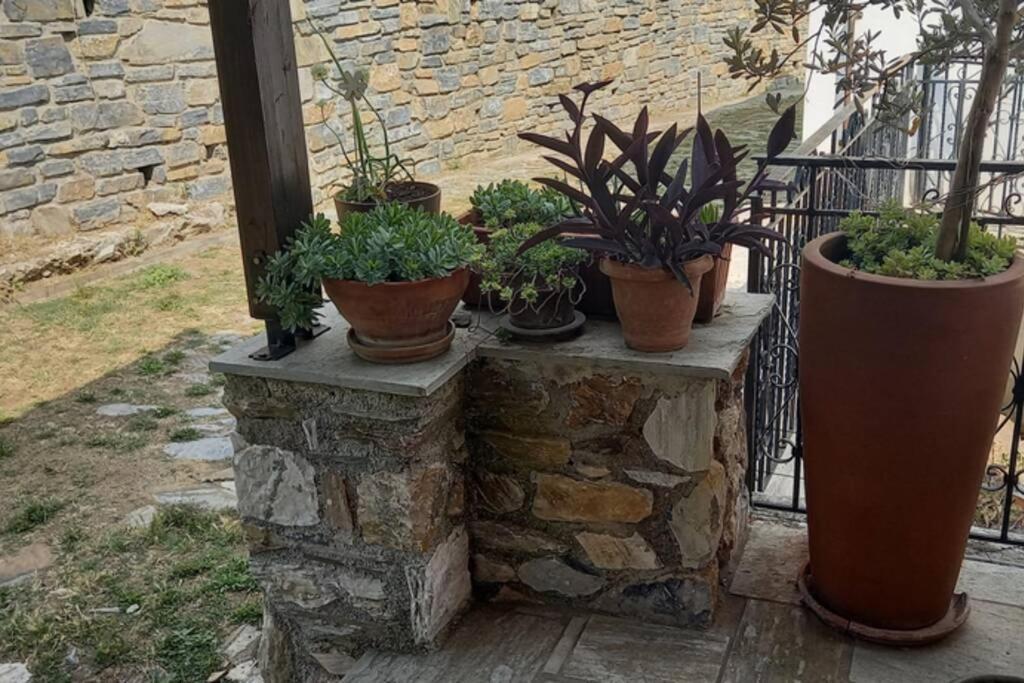 Pelion Cottage Miléai エクステリア 写真
